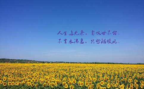 80后創業者的人生感悟！生活就是這樣…… 第2張