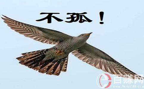 絕對的新型創(chuàng)業(yè)項(xiàng)目：人人都可做，收入不用說! 第2張