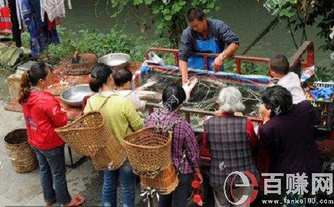金旋風網賺:做生意，懂得營銷,你就成功了一半。 第1張
