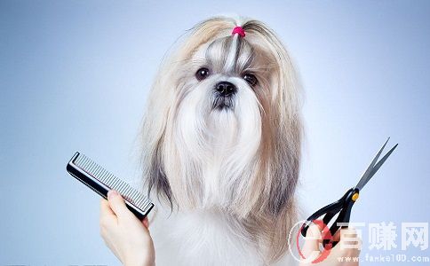 打工不如創業,學會這5種技術，掙錢容易些! 第2張