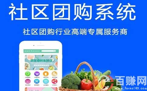 分享一個社區(qū)掙錢項目-做社區(qū)團購,小縣城也能月入3W多 第2張